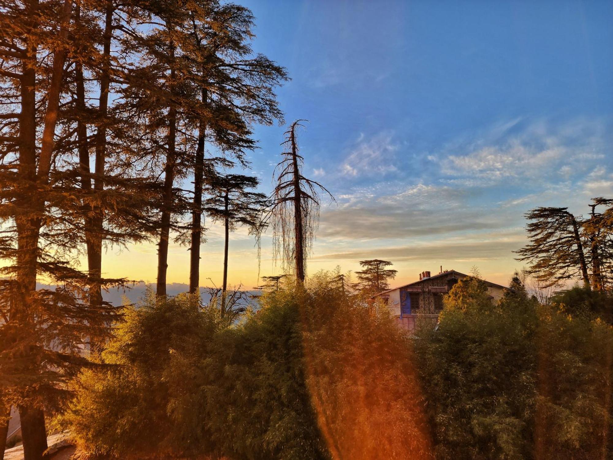 Hotel Pineview Šimla Exteriér fotografie